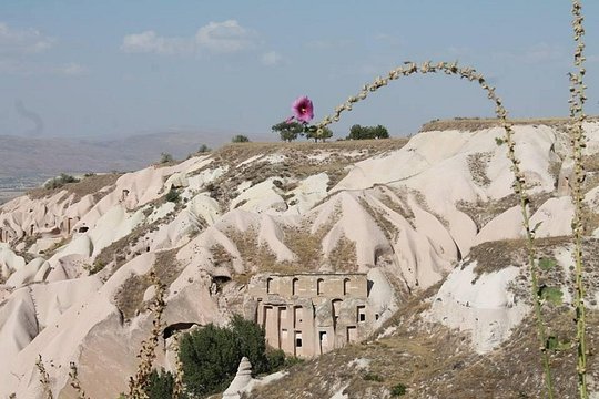 Tour image 6